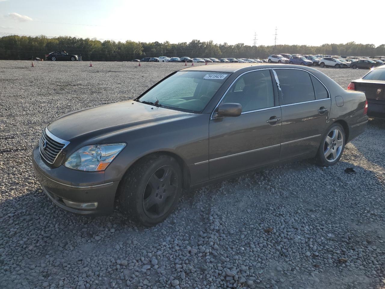 Lot #2986702135 2006 LEXUS LS 430