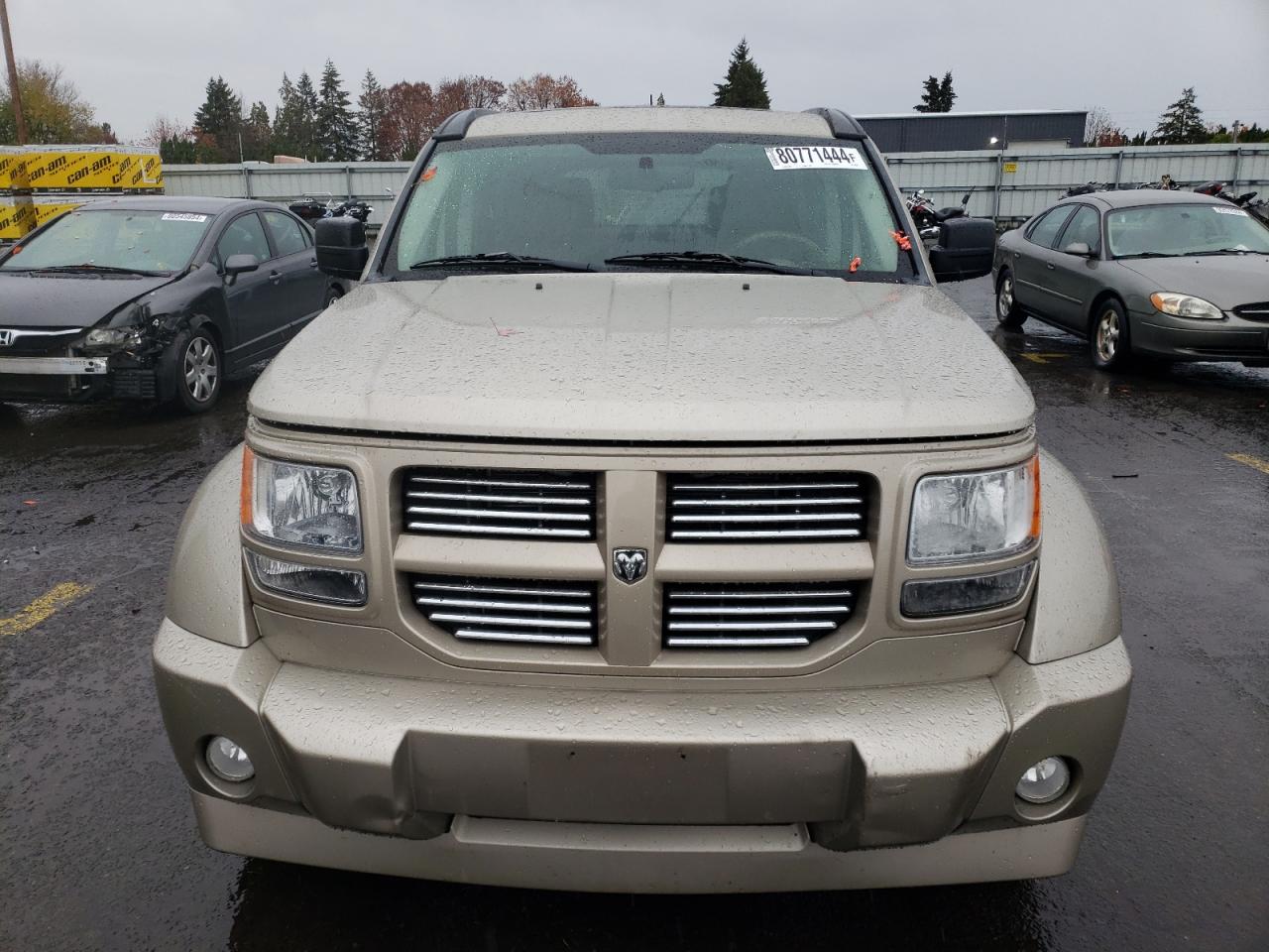 Lot #2977026593 2010 DODGE NITRO SXT