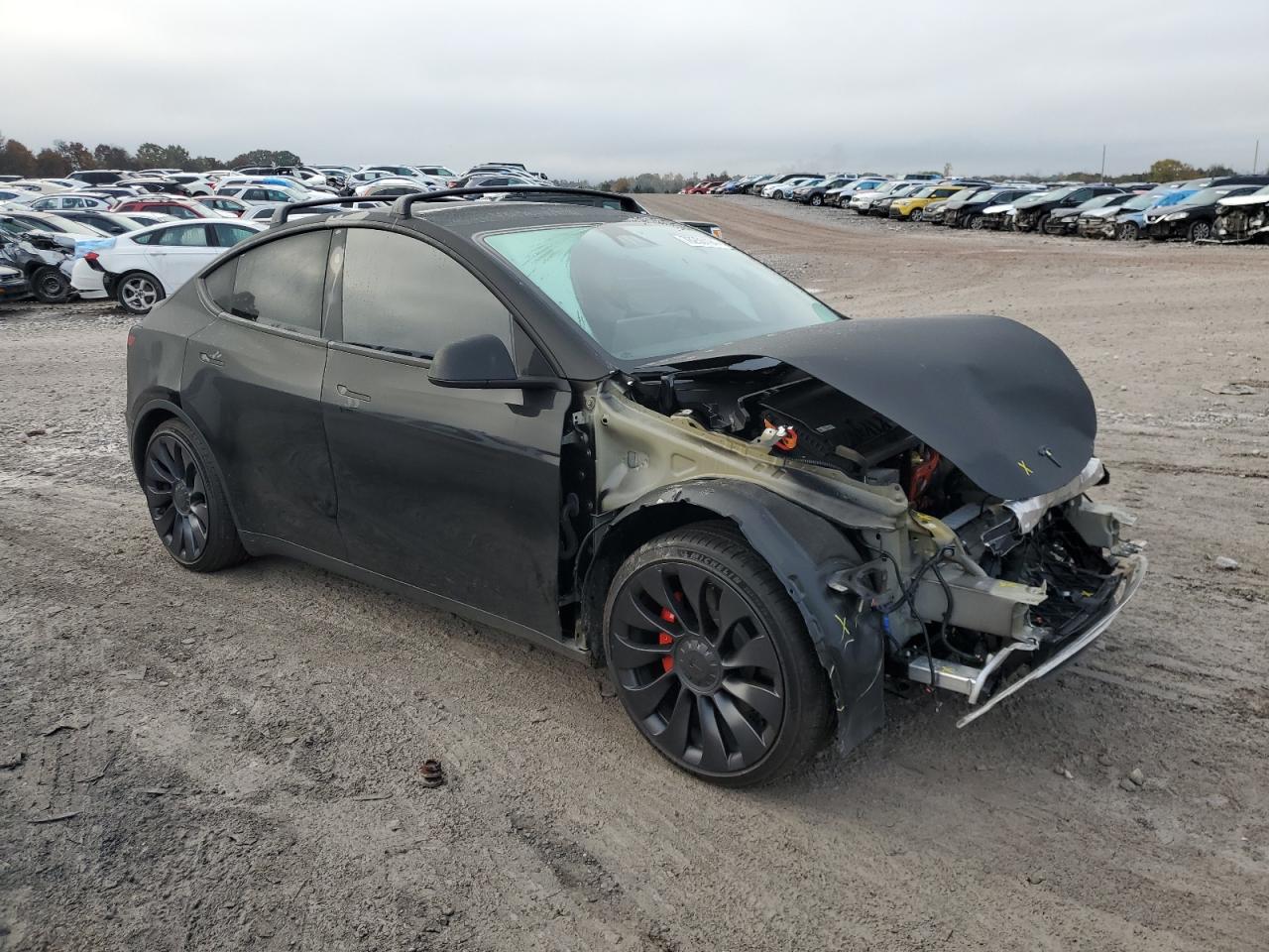 Lot #3042058186 2024 TESLA MODEL Y