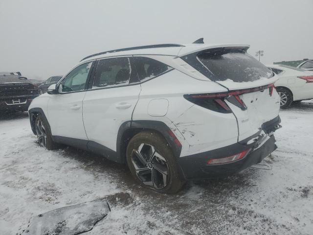 2023 HYUNDAI TUCSON SEL - 5NMJFCAE1PH244975