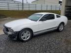 Lot #3024026250 2011 FORD MUSTANG