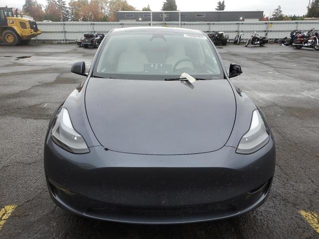 2023 TESLA MODEL Y - 7SAYGDEE7PF958271