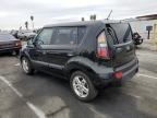 KIA SOUL + photo