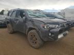 Lot #3024495557 2023 TOYOTA 4RUNNER SE