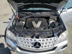 MERCEDES-BENZ ML photo