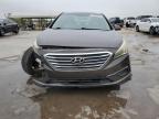 HYUNDAI SONATA SE photo