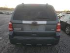 Lot #3023799904 2011 FORD ESCAPE LIM