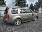 HONDA PILOT EXL photo