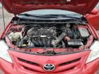 TOYOTA COROLLA BA photo