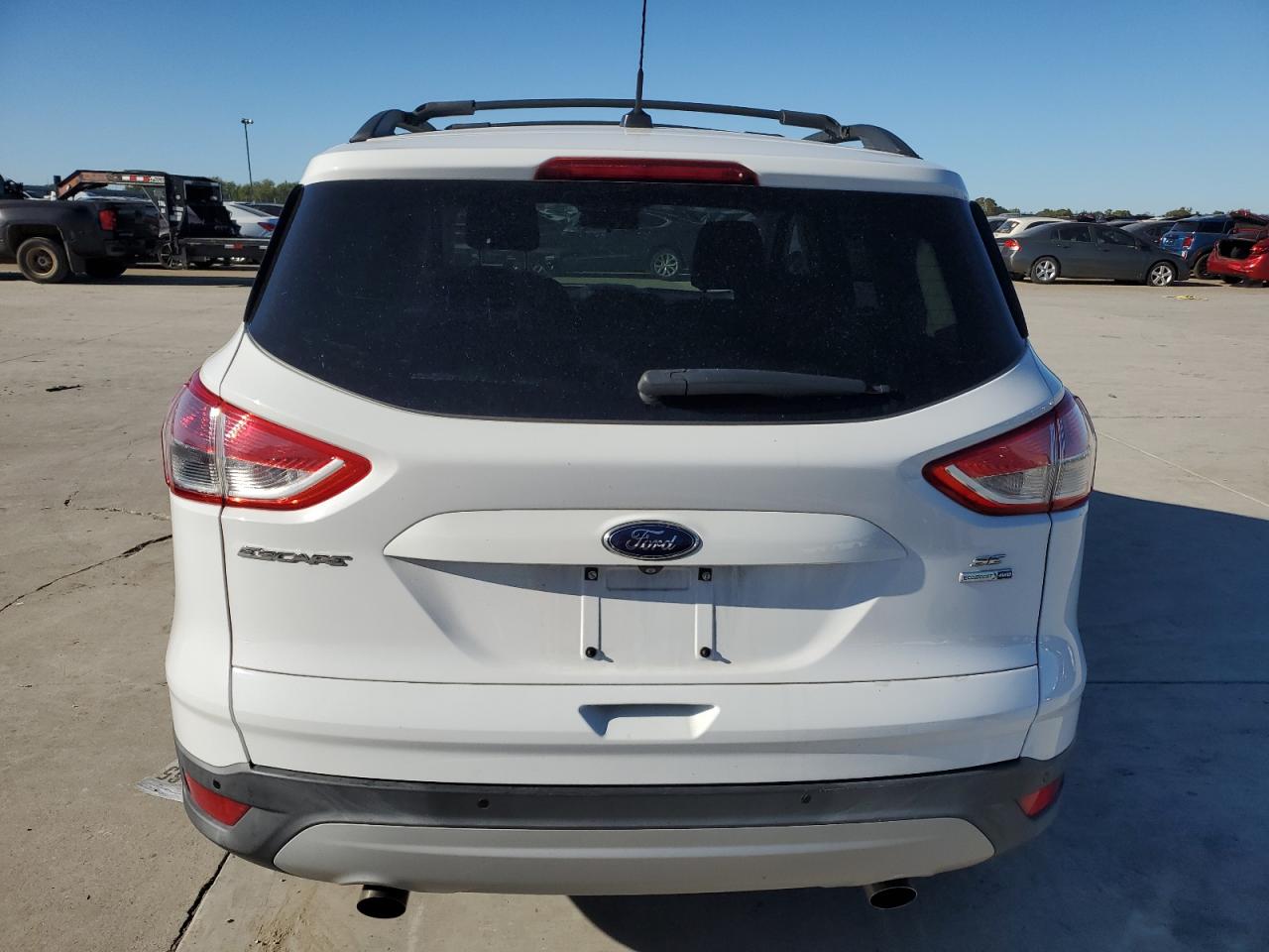 Lot #3038109210 2014 FORD ESCAPE SE