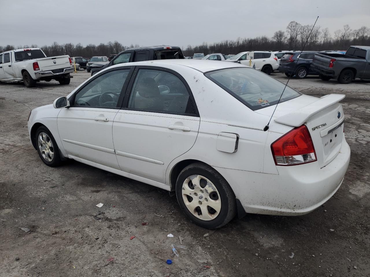 Lot #3006207462 2008 KIA SPECTRA EX