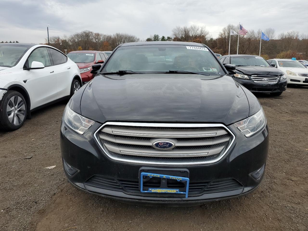 Lot #2945059208 2013 FORD TAURUS SEL