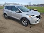 FORD ESCAPE SE photo