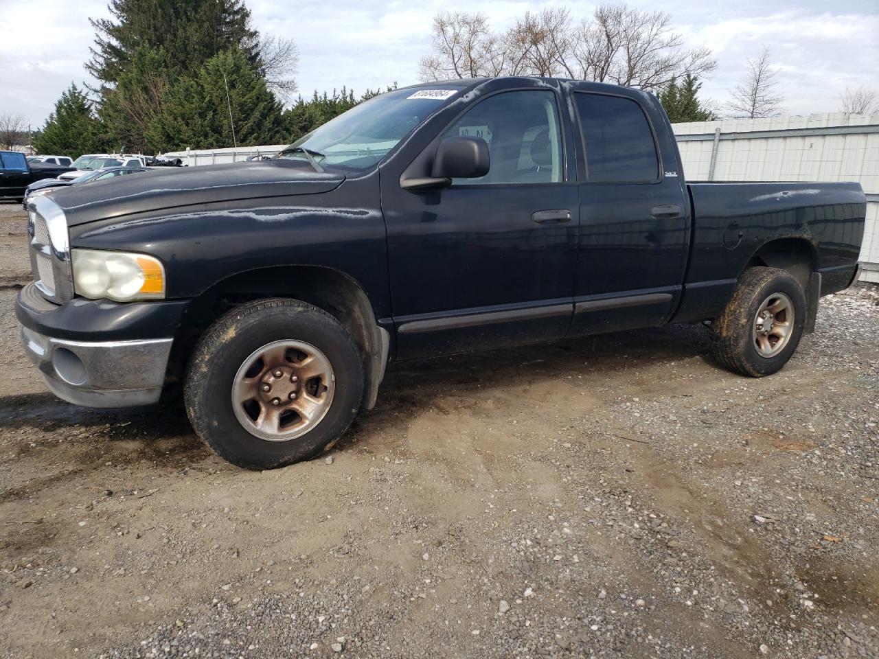 Lot #2991461900 2002 DODGE RAM 1500