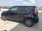 KIA SOUL + photo