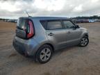 KIA SOUL photo