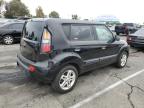 KIA SOUL + photo