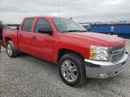 Lot #3023854832 2013 CHEVROLET SILVERADO