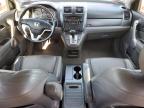 Lot #3025193189 2007 HONDA CR-V EXL