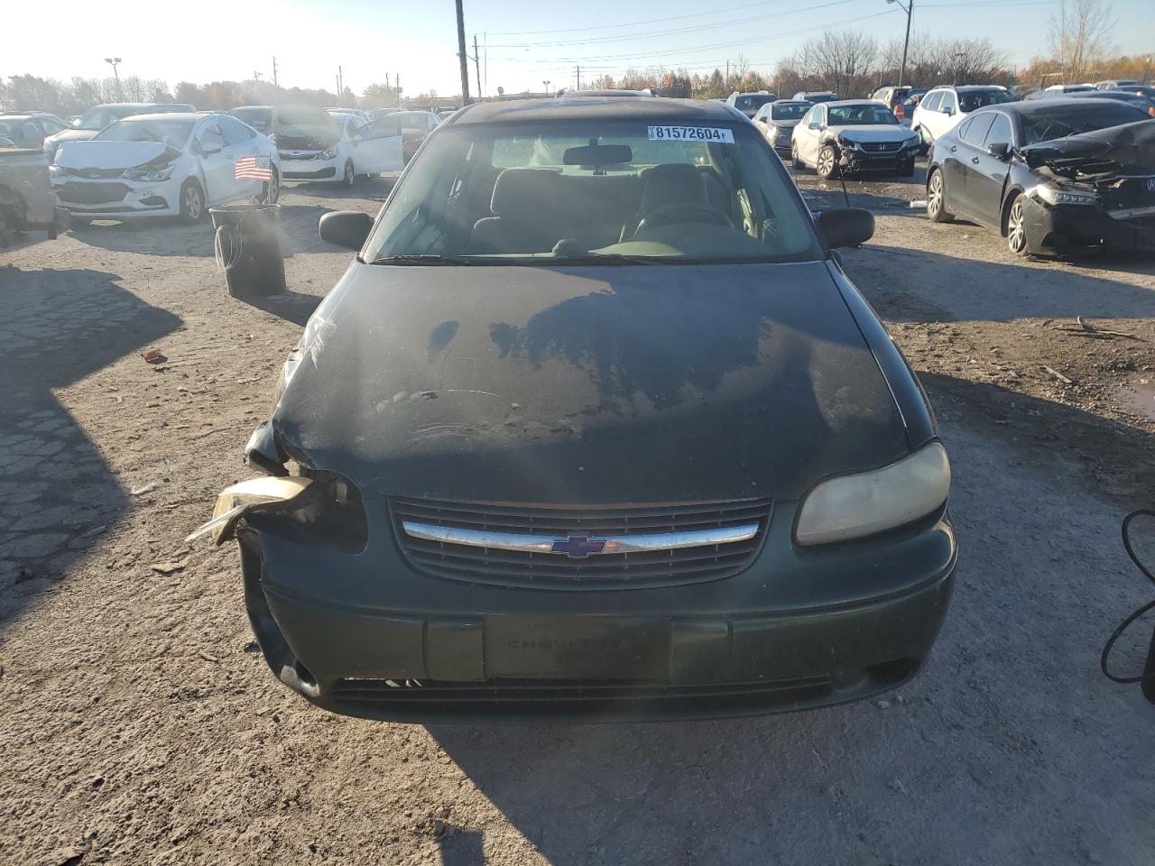 Lot #3020638949 2003 CHEVROLET MALIBU