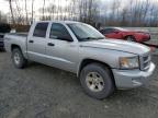 DODGE DAKOTA SXT photo