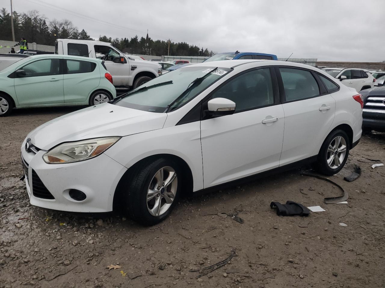 Lot #3023103976 2014 FORD FOCUS SE