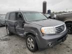 Lot #3035227806 2014 HONDA PILOT EXL