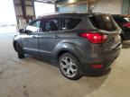 Lot #3023061123 2019 FORD ESCAPE TIT