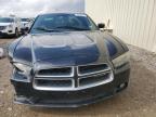 DODGE CHARGER SX photo