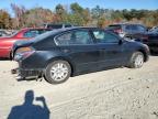 Lot #3023793916 2010 NISSAN ALTIMA BAS