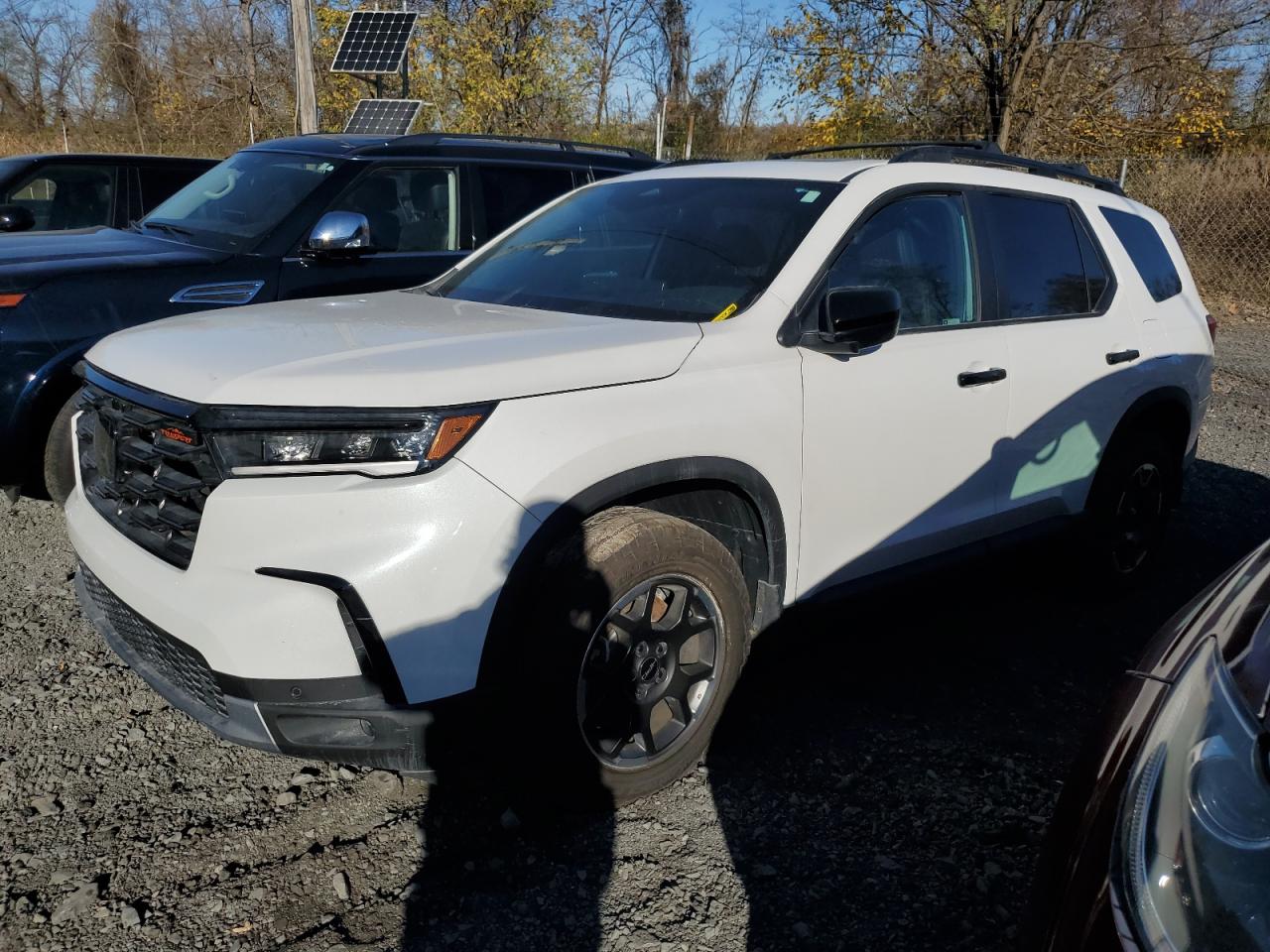 Lot #3003897567 2024 HONDA PILOT TRAI