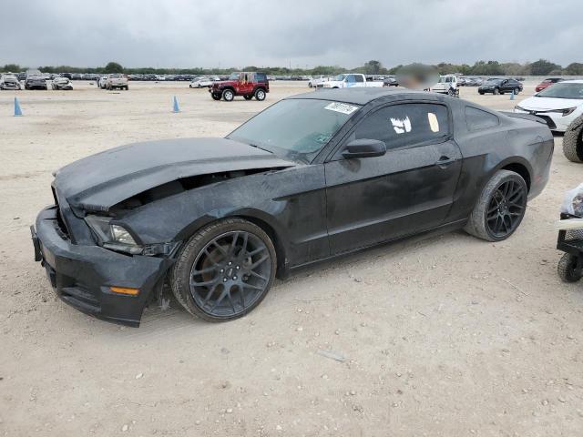 VIN 1ZVBP8AM3D5259155 2013 Ford Mustang no.1