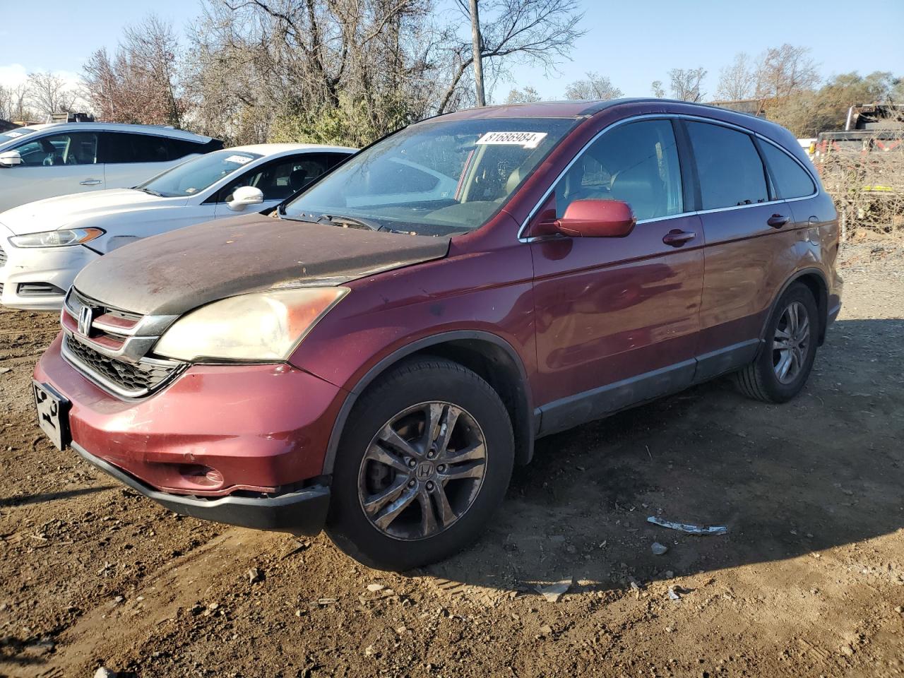 Lot #2993835654 2010 HONDA CR-V EXL