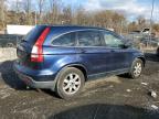 HONDA CR-V EX photo