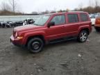 Lot #3003664109 2016 JEEP PATRIOT LA