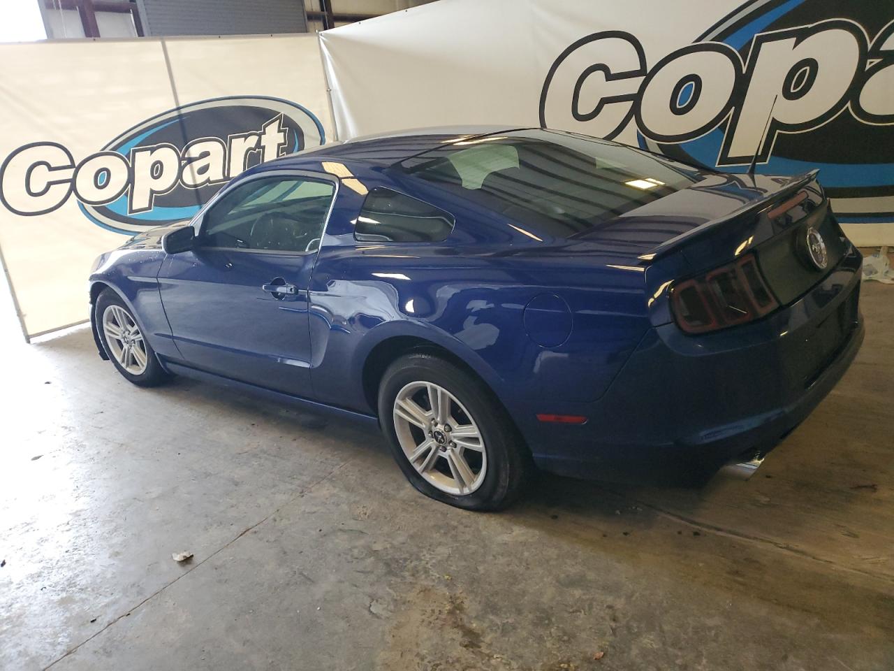 Lot #2996596650 2013 FORD MUSTANG