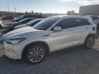 Lot #3024520390 2021 INFINITI QX50 LUXE