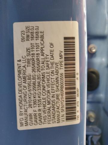 2024 HONDA PILOT TRAI 5FNYG1H60RB003556