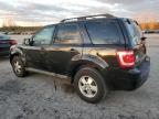 Lot #3025040258 2011 FORD ESCAPE XLT