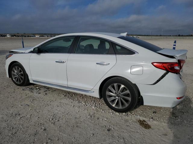 2017 HYUNDAI SONATA SPO - 5NPE34AF1HH495296