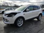 Lot #3023173276 2015 FORD ESCAPE TIT