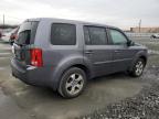 HONDA PILOT EXL photo