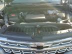 Lot #3024836372 2023 CHEVROLET SILVERADO