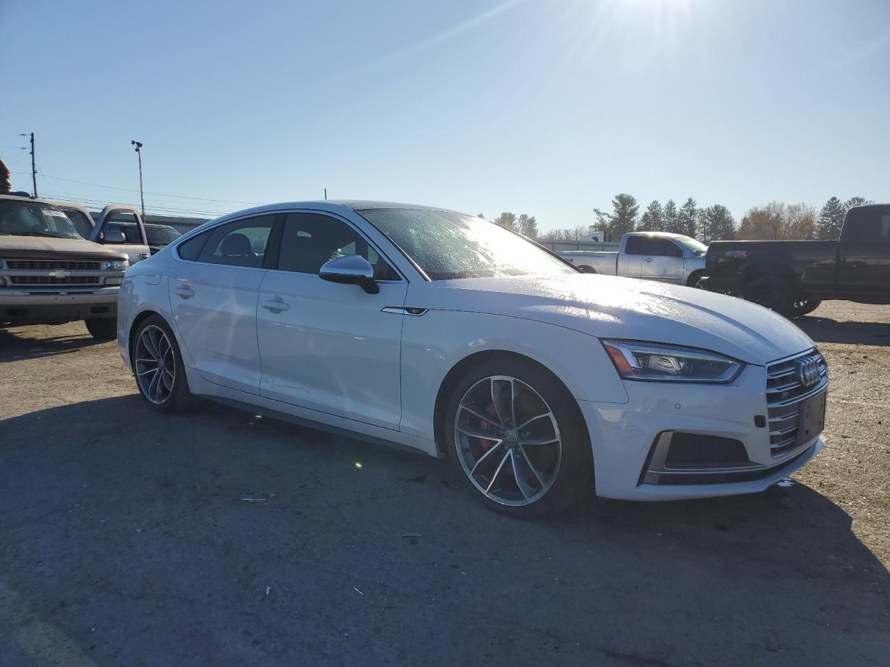 Lot #2962077150 2019 AUDI S5 PREMIUM