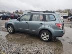 SUBARU FORESTER 2 photo