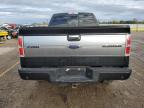 Lot #3024630580 2013 FORD F150 SUPER