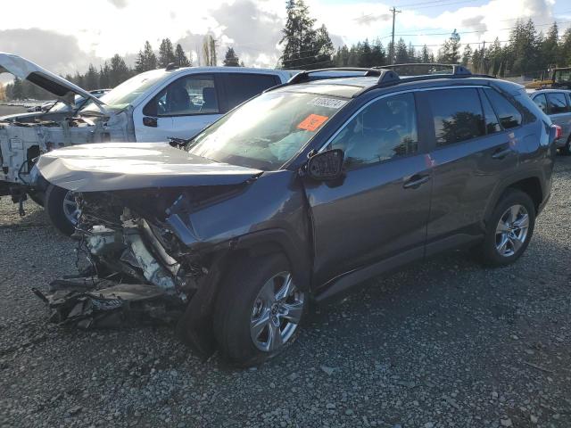 2023 TOYOTA RAV4 XLE #2994133428