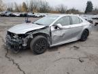 2024 TOYOTA CAMRY - 4T1K31AK7RU065001