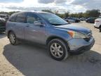 HONDA CR-V EXL photo