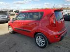 KIA SOUL + photo